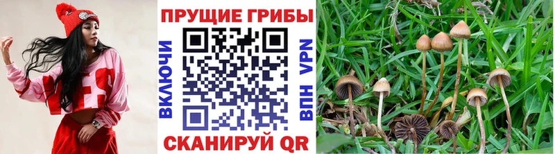 гидра ONION Бузулук Псилоцибиновые грибы GOLDEN TEACHER